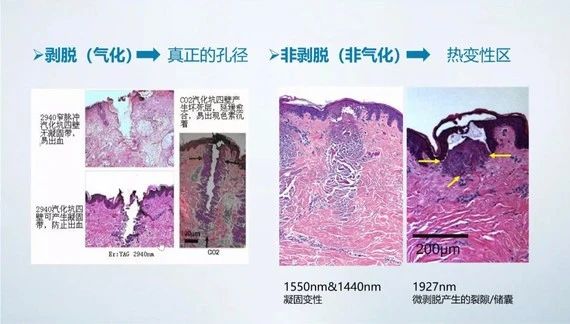 微信图片_20240705140443.jpg