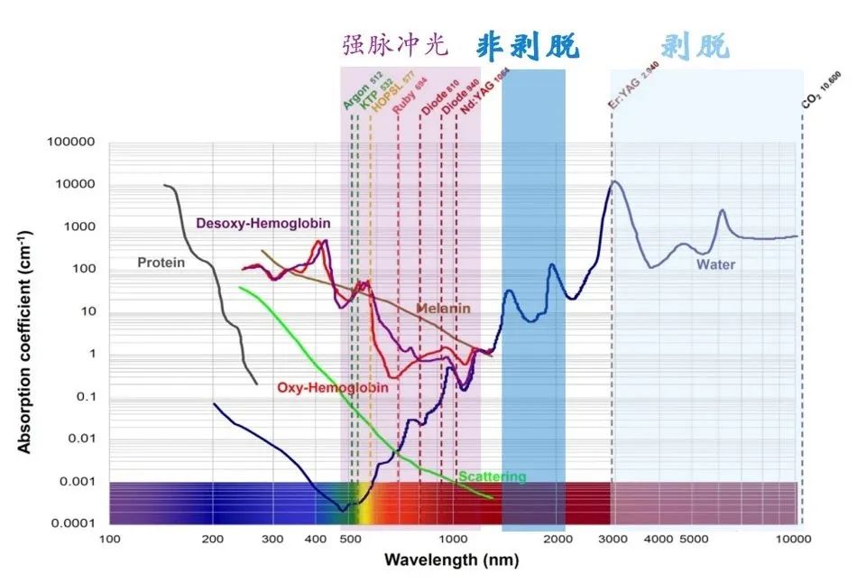 微信图片_20240708182244.jpg