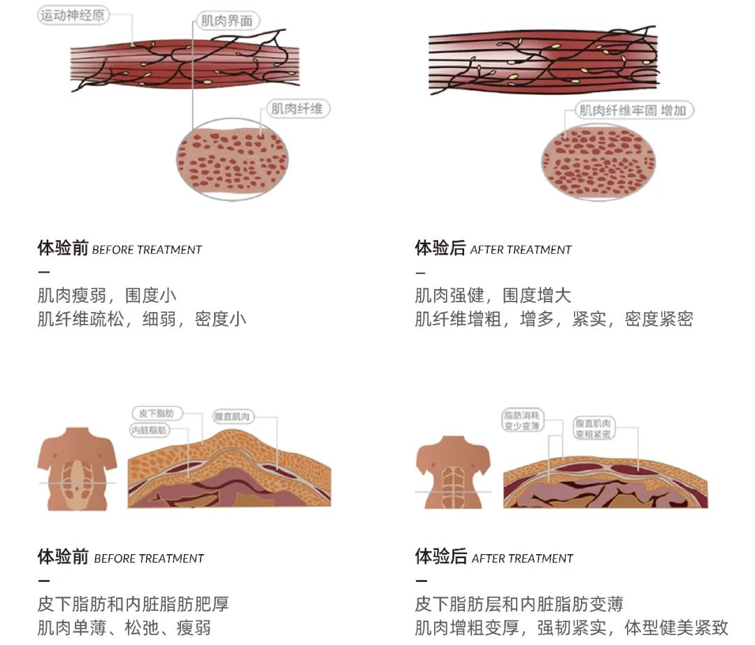 微信图片_20240806110008.jpg